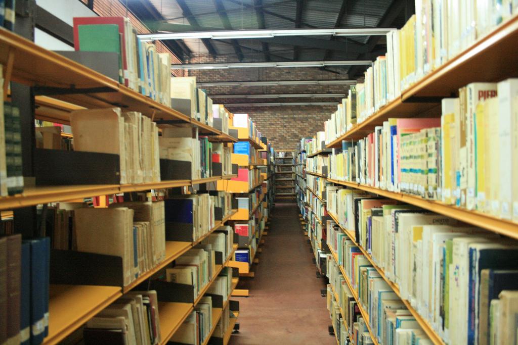 Library shelves Thumbnail