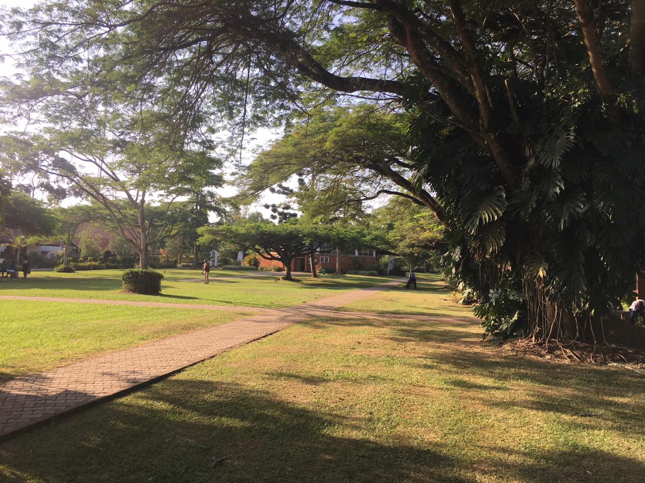 Uganda scenery.