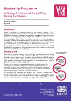 EIPM mentorship strategy Zimbabwe image Thumbnail