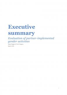 Evaluation of partner-implemented gender activities Thumbnail
