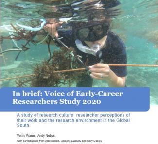 Cover picture for Voices of Early-Career Researchers report.