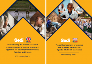 SEDI learning brief cover pictures.