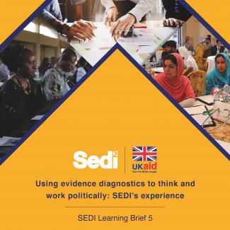 Cover picture for SEDI learning brief 5.