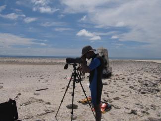 An image of a person on a beach, using a camera and tripod to take photos .