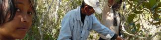 Biodiversity researcher Herimino Manoa RAJAONARIVELO.