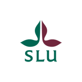 SLU