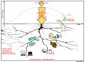 The impact of COVID-19 on research and knowledge systems.