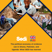 SEDI learning brief 2