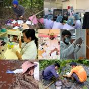 collage of early career researchers